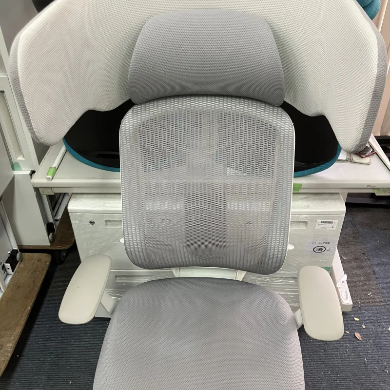 シルフィ汗　1脚